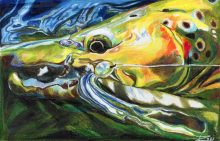 'Brown Trout With Capt. Hook' by Rosi Oldenburg