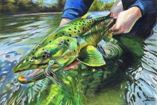 'Brownie Release' by Rosi Oldenburg