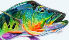 'Peacock Bass' by Rosi Oldenburg