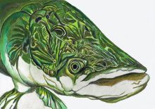 'Pirarucu' by Rosi Oldenburg