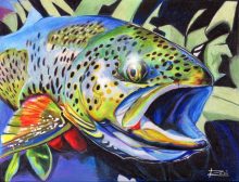 'Rainbow' by Rosi Oldenburg