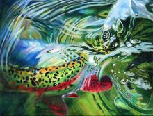 'Rainbow Release' by Rosi Oldenburg