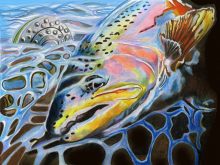 'Reel Reflection' by Rosi Oldenburg