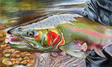 'Russian' by Rosi Oldenburg