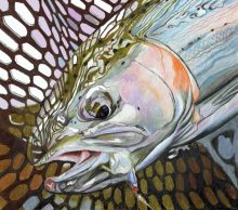 'Salmon in the Net' by Rosi Oldenburg