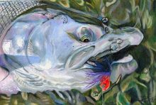 'Silver Coho' by Rosi Oldenburg