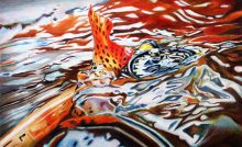 'Splash' by Rosi Oldenburg