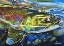 'Stranded' by Rosi Oldenburg