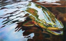 'Trout Release' by Rosi Oldenburg