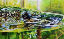 'Pike II' by Rosi Oldenburg