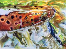 'Brownie Hooked' by Rosi Oldenburg