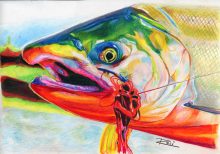 'Coho Salmon' by Rosi Oldenburg