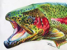 'Cuttie II' by Rosi Oldenburg