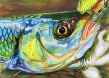 'On The Hook II' by Rosi Oldenburg