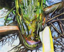 'Pike V' by Rosi Oldenburg