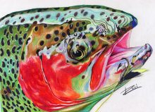 'Cuttie' by Rosi Oldenburg