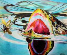 'Gotcha' by Rosi Oldenburg