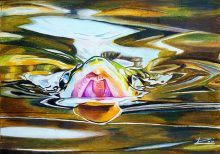 'Looking for Flies' by Rosi Oldenburg