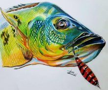 'Peacock II' by Rosi Oldenburg