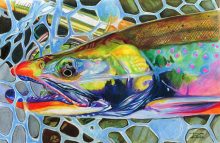 "Dolly Varden IV"